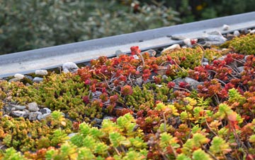 the cost of Hogstock green roof installation
