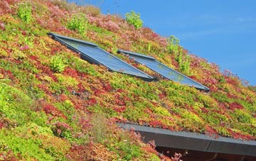 Hogstock living roof systems