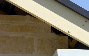 soffit repair Hogstock