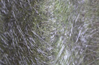 Hogstock fibreglass roof work